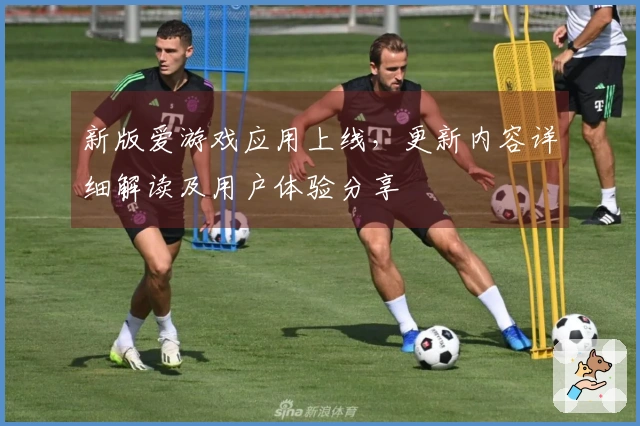 新版爱游戏应用上线，更新内容详细解读及用户体验分享