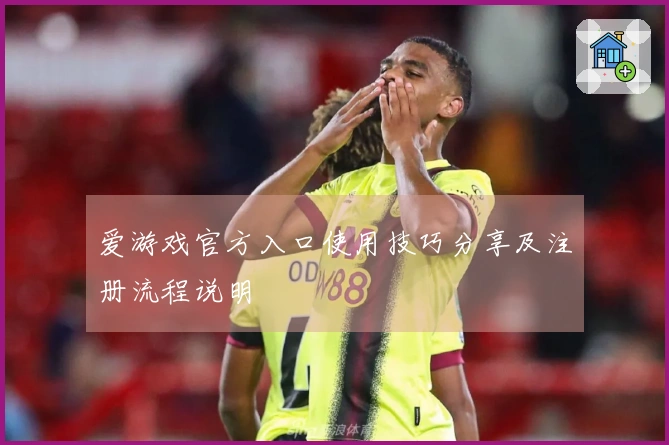 爱游戏官方入口使用技巧分享及注册流程说明
