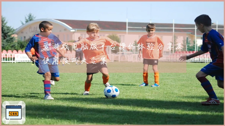 爱游戏电脑版平台操作体验分享及使用技巧大合集