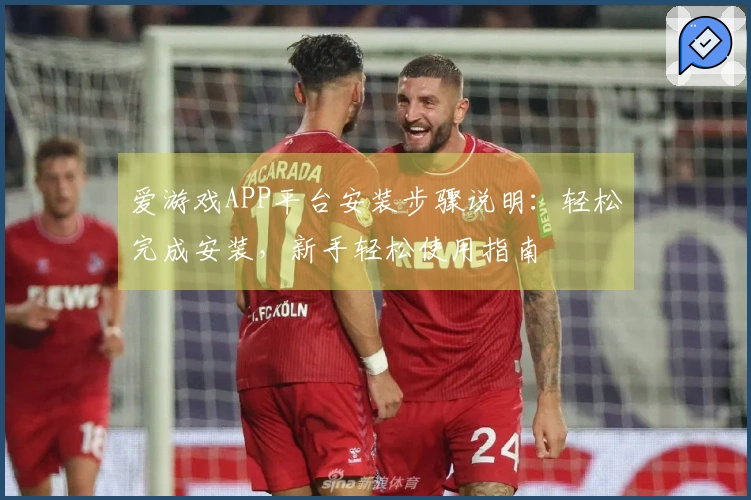 爱游戏APP平台安装步骤说明：轻松完成安装，新手轻松使用指南